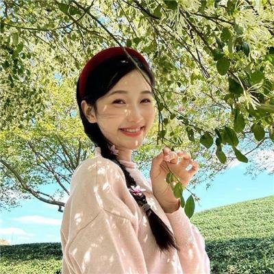 疑案忠魂